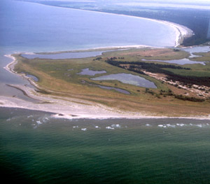 Luftbild des Darßer Ortes mit Dünenfeldern und Strandseen